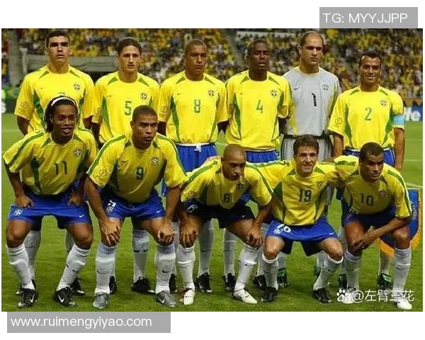 世界杯点评：上海足球队展现出色团队协作精神与战术配合