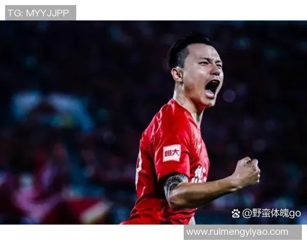 法国足球明星内的辉煌历程与成就解析，带你走进绿茵场上的传奇故事